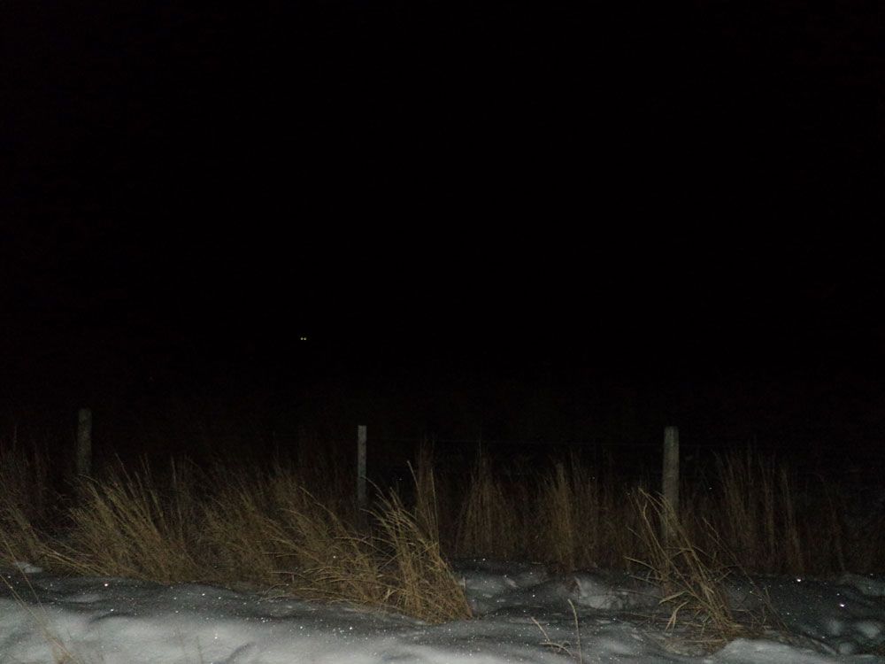 DSC00259