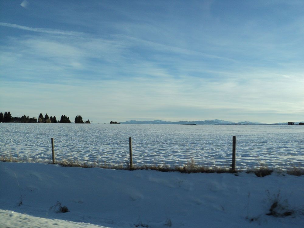 DSC00268